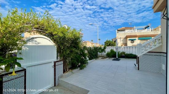 ADOSADO  EL LOS BALCONES (TORREVIEJ) DE 3 DORM. 1 BAÑO. 50M2 DE PARCELA. PISCINA COMUNITARIA. - ALI