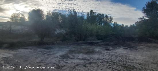 Finca R´ústica en Fuente del Pino, Monóvar - ALICANTE