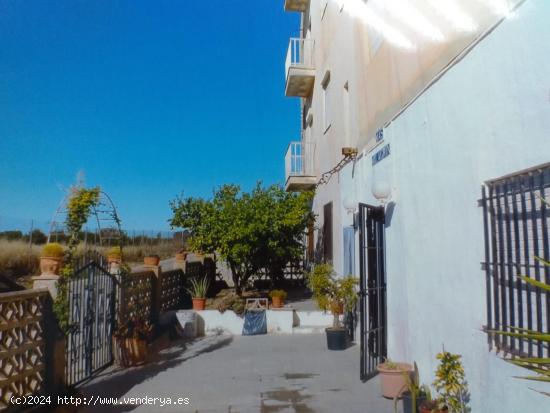 EDIFICIO A LA VENTA CON PISCINA Y ZONAS VERDES EN ALBALAT DELS SORELLS - VALENCIA