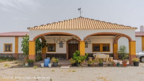 Casa de campo-Masía en Venta en Saucejo, El Sevilla