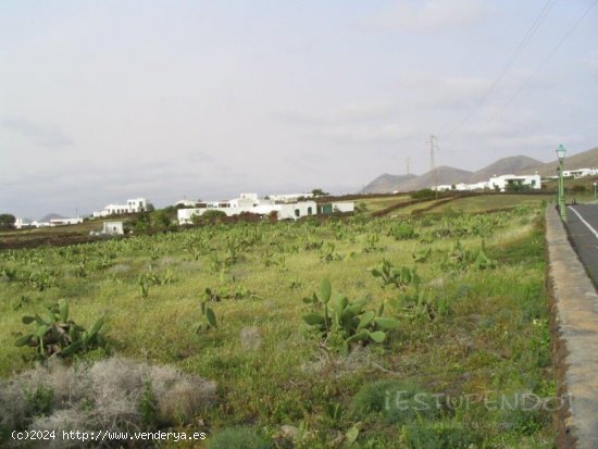 Parcela en Venta en Yaiza (Lanzarote) Las Palmas