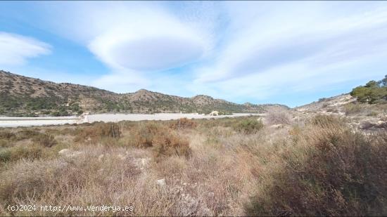 Finca rústica en Novelda - ALICANTE