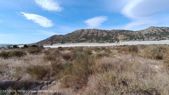 Finca rústica en Novelda - ALICANTE