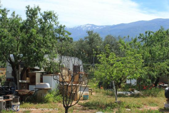 FINCA DE RECREO - GRANADA