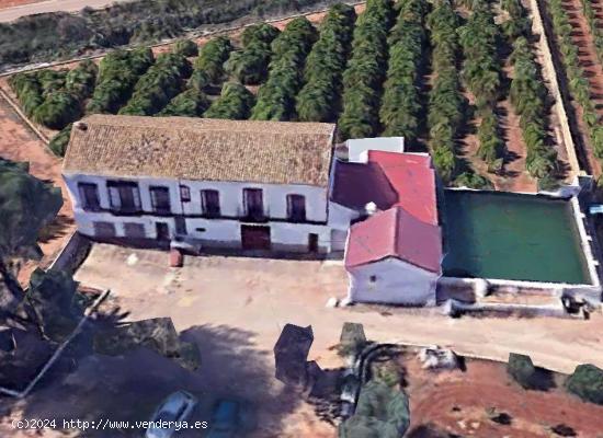 Finca rústica con naranjos en venta de Benifaió Partida Fondo - VALENCIA