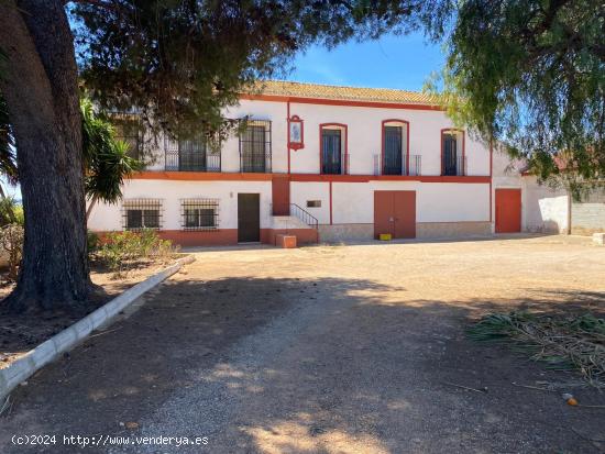 Finca rústica con naranjos en venta de Benifaió Partida Fondo - VALENCIA