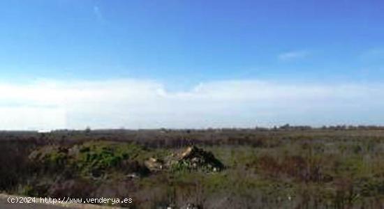  TERRENO URBANIZABLE EN PUEBLONUEVO - BADAJOZ 