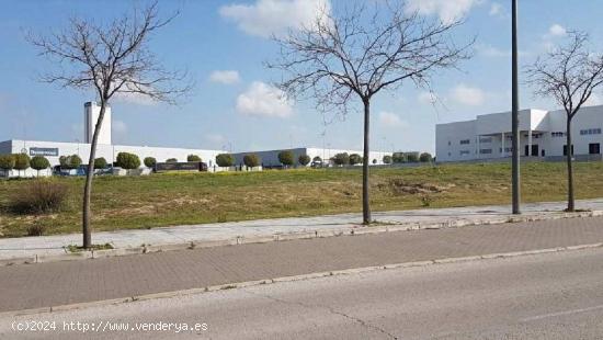 Parcela Uso Terciario en Parque Tecnológico de Mostoles - MADRID