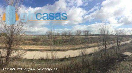 VENTA DE TERRENO URBANIZABLE SECTORIZADO EN EL CAÑAVERAL - MADRID