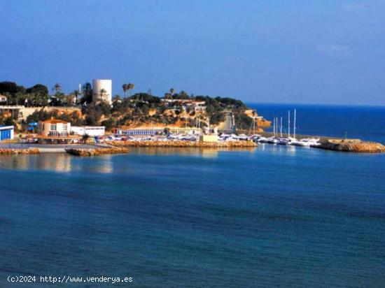 Parcela en Cabo Roig - ALICANTE