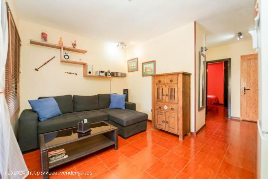 Atractivo apartamento de un dormitorio en zona muy popular. - LAS PALMAS