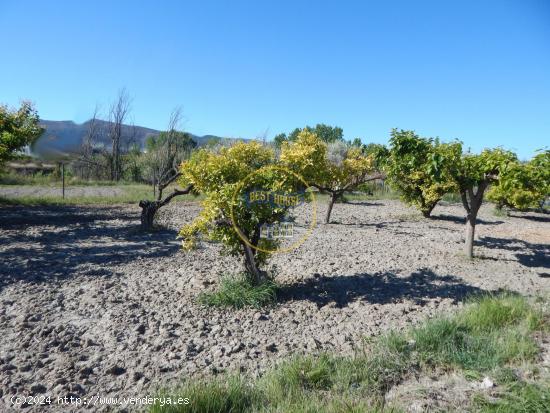 CASA DE CAMPO REFORMADA EN ONTINYENT - VALENCIA