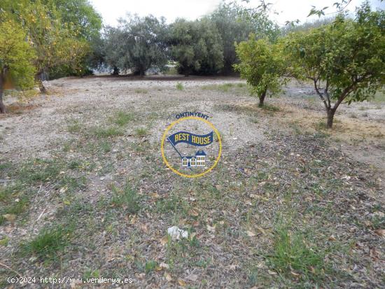 GRAN CASA DE CAMPO EN ONTINYENT. - VALENCIA