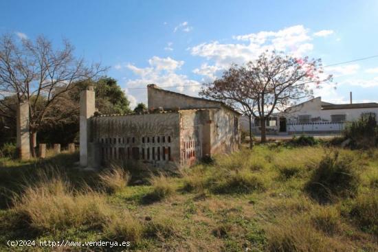 FINCA EN ELCHE - ALICANTE - ALICANTE