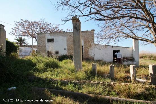 FINCA EN ELCHE - ALICANTE - ALICANTE