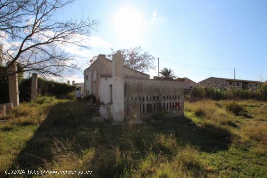 FINCA EN ELCHE - ALICANTE - ALICANTE