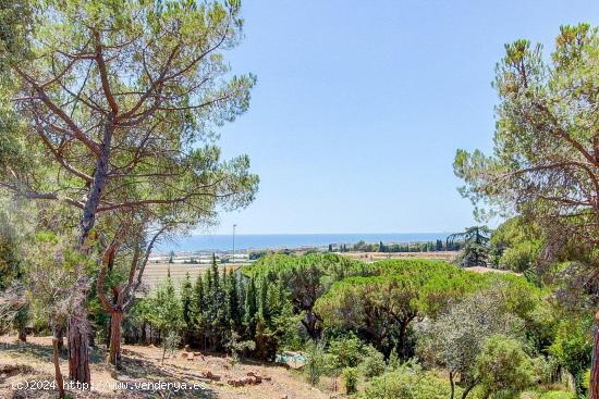  TERRENO URBANO EN CABRILS - ZONA SANT CRIST VELL - BARCELONA 