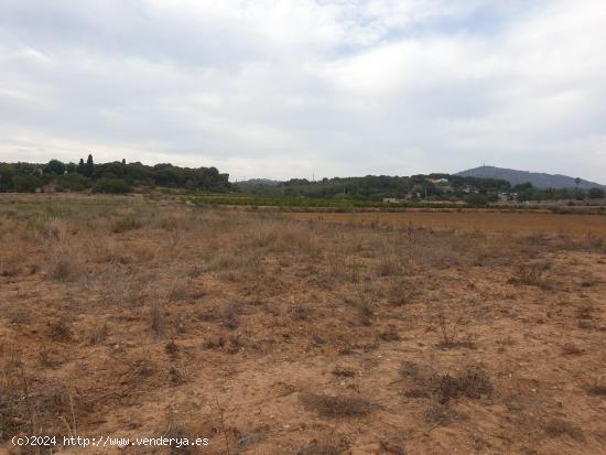 TERRENO AGRICOLA EN VENTA EN VILANOVA I LA GELTRU DE 24.685 m2 - BARCELONA