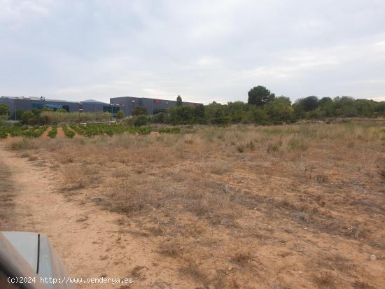 TERRENO AGRICOLA EN VENTA EN VILANOVA I LA GELTRU DE 24.685 m2 - BARCELONA