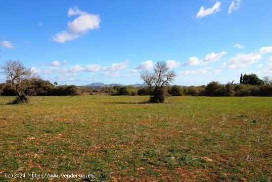 Terreno en Campos con vistas despejadas - BALEARES