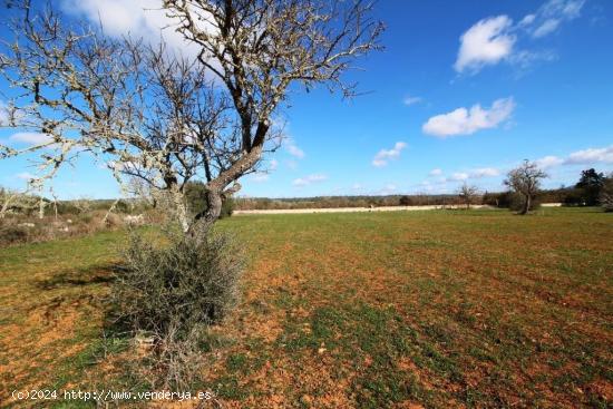 Terreno en Campos con vistas despejadas - BALEARES