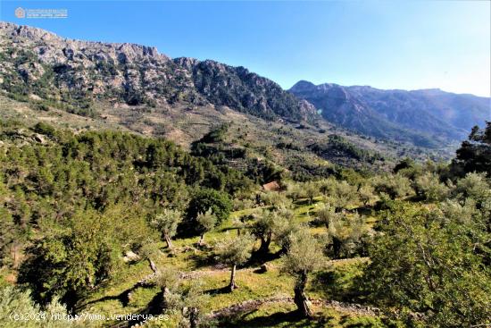  Villa de Lujo con Piscina y Vistas en Fornalutx - BALEARES 