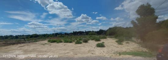 PARCELA  RUSTICA EN EL PINO PARA ALEJARTE DEL PUEBLO (ESQUINA) - MURCIA