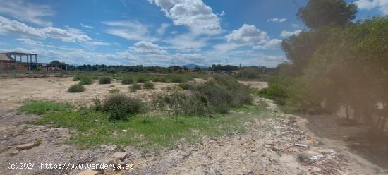 PARCELA  RUSTICA EN EL PINO PARA ALEJARTE DEL PUEBLO (ESQUINA) - MURCIA