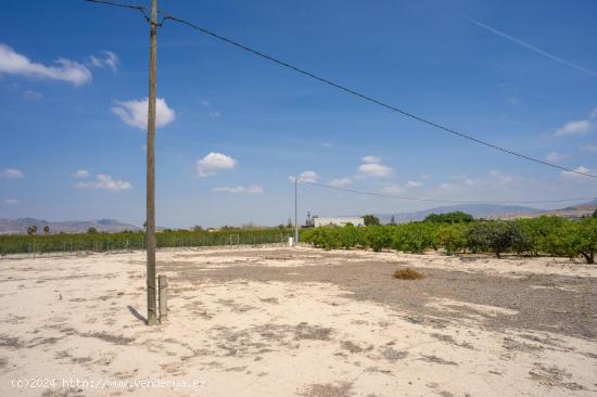 Parcela en Campotejar baja - MURCIA