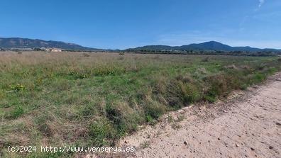  SE VENDE TERRENO EN NOVELDA - ALICANTE 