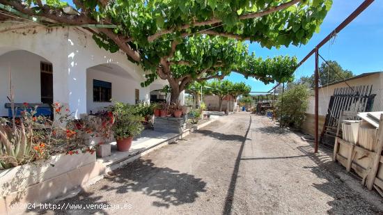 CHALET EN EL CAMPET - ALICANTE