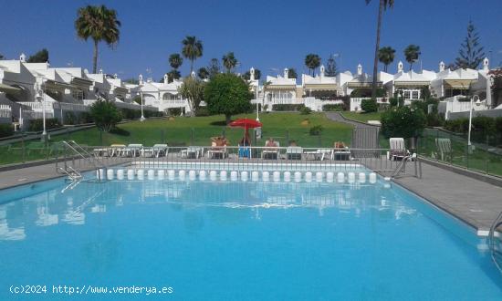 Bungalow en complejo tranquilo en Playa del Ingles. - LAS PALMAS