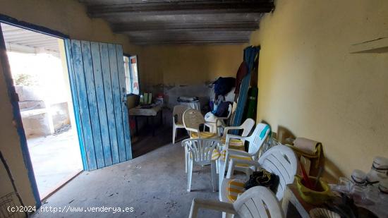 ¡Descubre la auténtica vida en el campo en L'Ametlla de Mar! - TARRAGONA