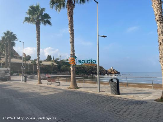 Acogedor apartamento para alquilar por temporadas a 20 m de la playa de Levante- Rinconcito de Coló