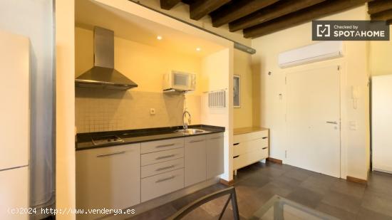 Estudio apartamento en alquiler en Ciutat Vella. - BARCELONA