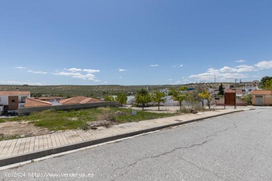  Se Vende en Pinos Puente - GRANADA 