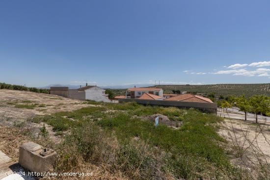 Se Vende en Pinos Puente - GRANADA