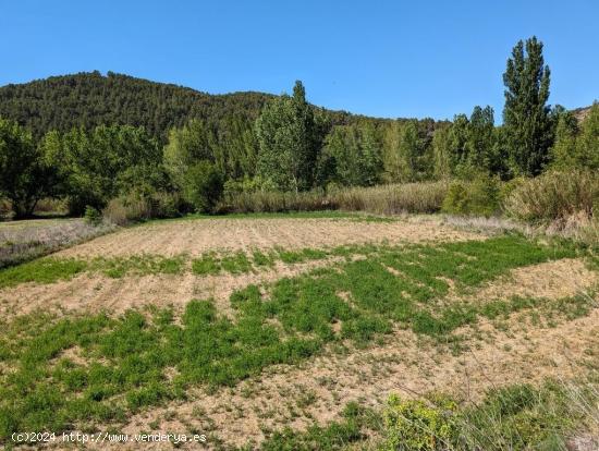 Maset en el río - TERUEL