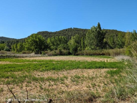 Maset en el río - TERUEL