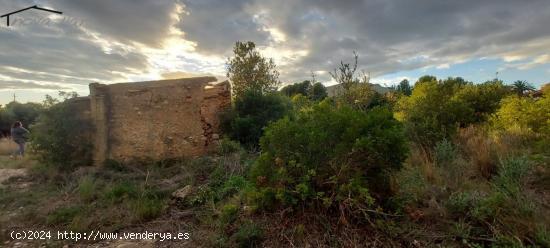  FINCA RÚSTICA - TARRAGONA 