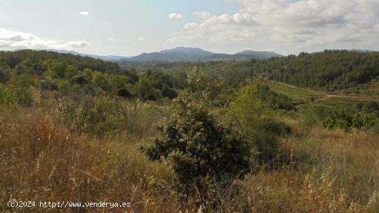 FINCA RÚSTICA EN ELS GUIAMETS - TARRAGONA