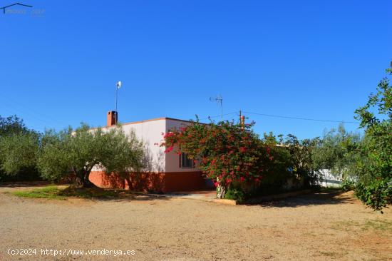 MAGNÍFICA CASA RURAL EN FINCA VALLADA - TARRAGONA