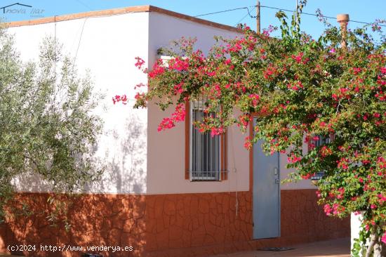 MAGNÍFICA CASA RURAL EN FINCA VALLADA - TARRAGONA