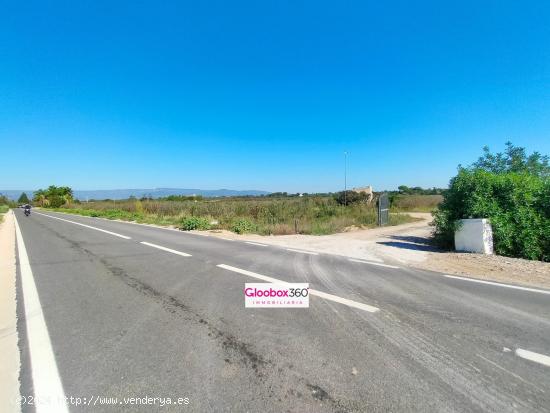 Se Vende Finca en término de Riudoms ( Baix Camp ) a ocho minutos de Reus y Cambrils - TARRAGONA