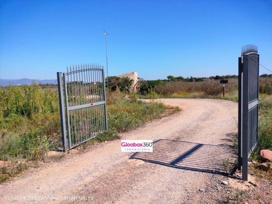 Se Vende Finca en término de Riudoms ( Baix Camp ) a ocho minutos de Reus y Cambrils - TARRAGONA