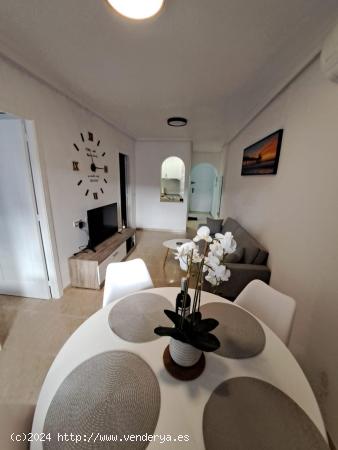 Moderno apartamento en centro de Torrevieja - ALICANTE