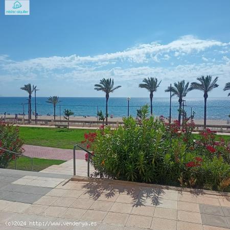 PRIMERISIMA LINEA DE PLAYA DE MUCHAVISTA IDEAL PROFESORES Y VACACIONES INVERNALES - ALICANTE