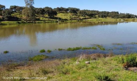 IMPRESIONANTE Dehesa de encinas y Coto de Caza 200 Ha en el corazón de Huelvs - HUELVA