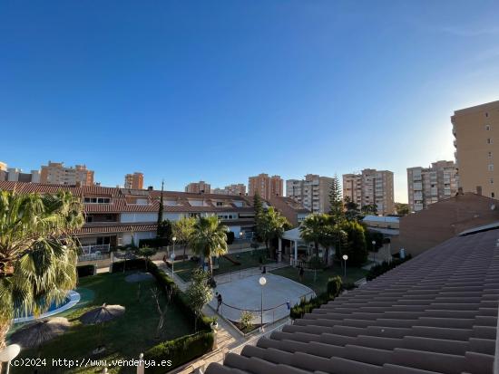 BUNGALOW EN URBANIZACIN EN 3 MINUTOS DE PLAYA EN SAN JUAN PLAYA - ALICANTE