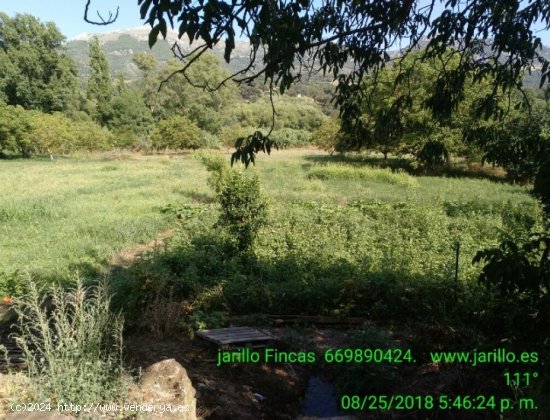  Casa de campo-Masía en Venta en Cortes De La Frontera Málaga 